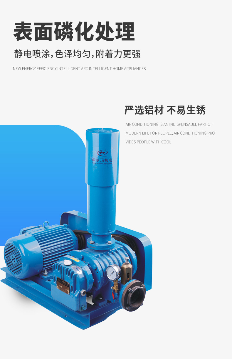 水產(chǎn)養(yǎng)殖羅茨鼓風(fēng)機(jī)詳情圖2