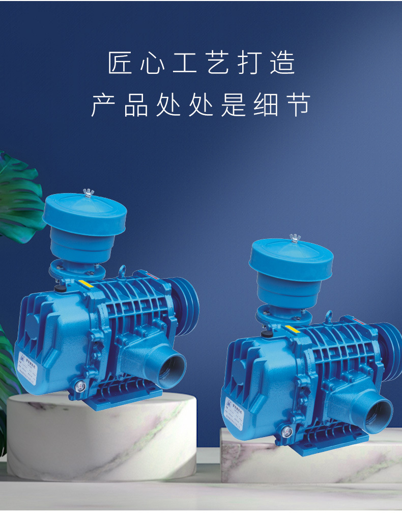 水產(chǎn)養(yǎng)殖羅茨鼓風(fēng)機(jī)詳情圖3