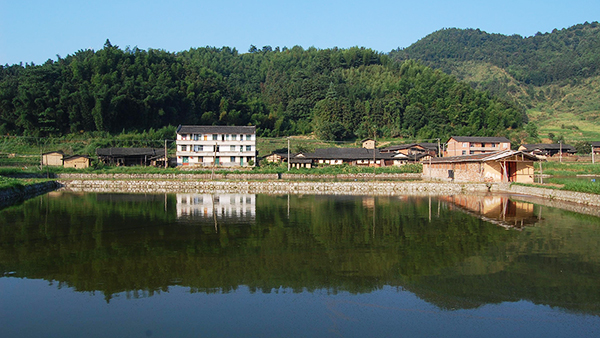 川瑾與某魚塘養(yǎng)殖商家合作案例
